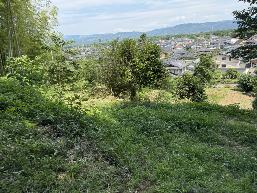 戸島本町売地